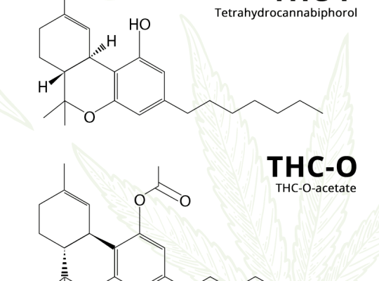 THC-P vs THC: Analyzing the Strength